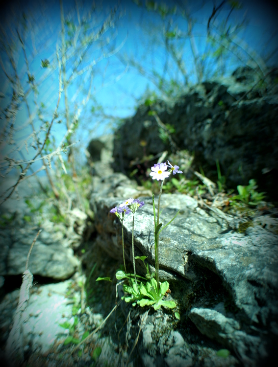 doorcounty2011 (96)-001