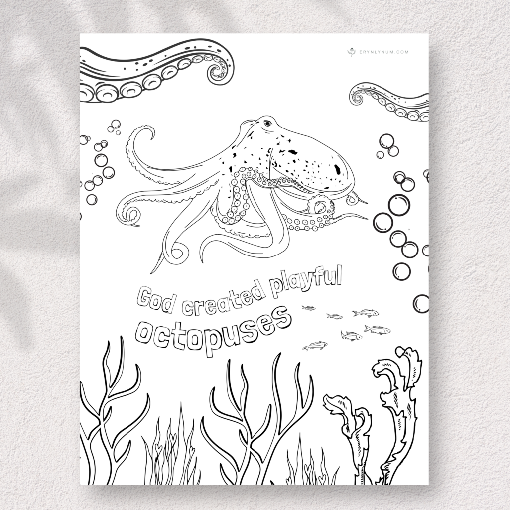 how many brains does an octopus have