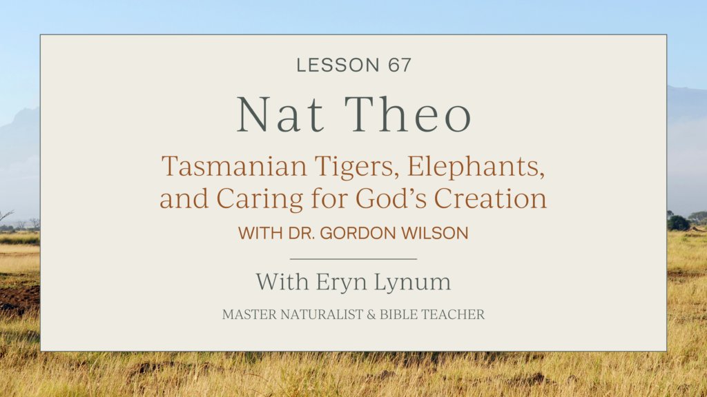 What Does the Bible Say About Taking Care of Creation