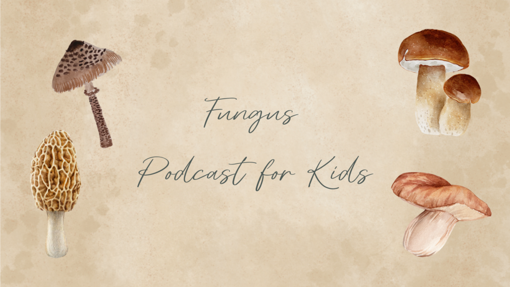 Fungus Podcast for Kids