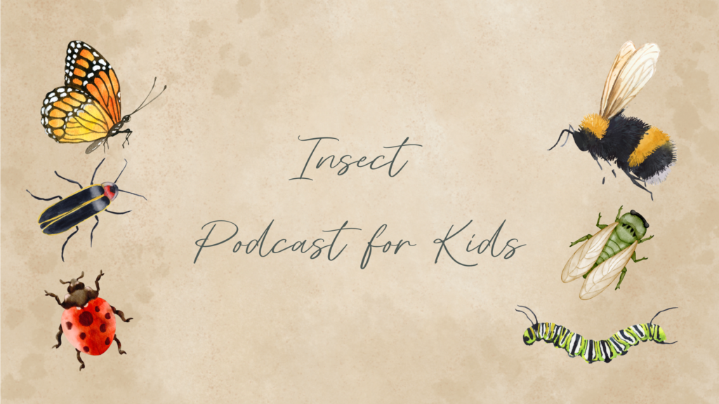 Insect podcast for kids