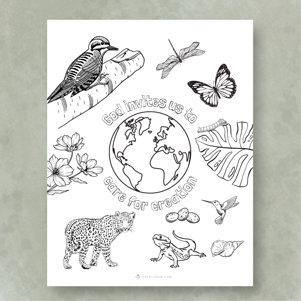 What Does the Bible Say About Taking Care of Creation