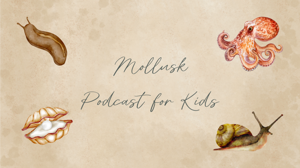 Mollusk Podcast for Kids