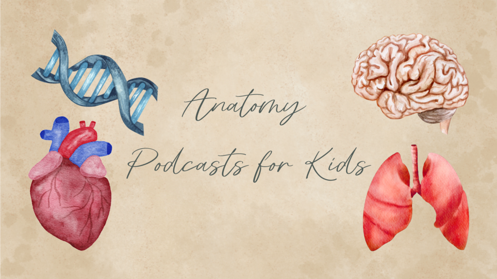 anatomy podcasts for kids