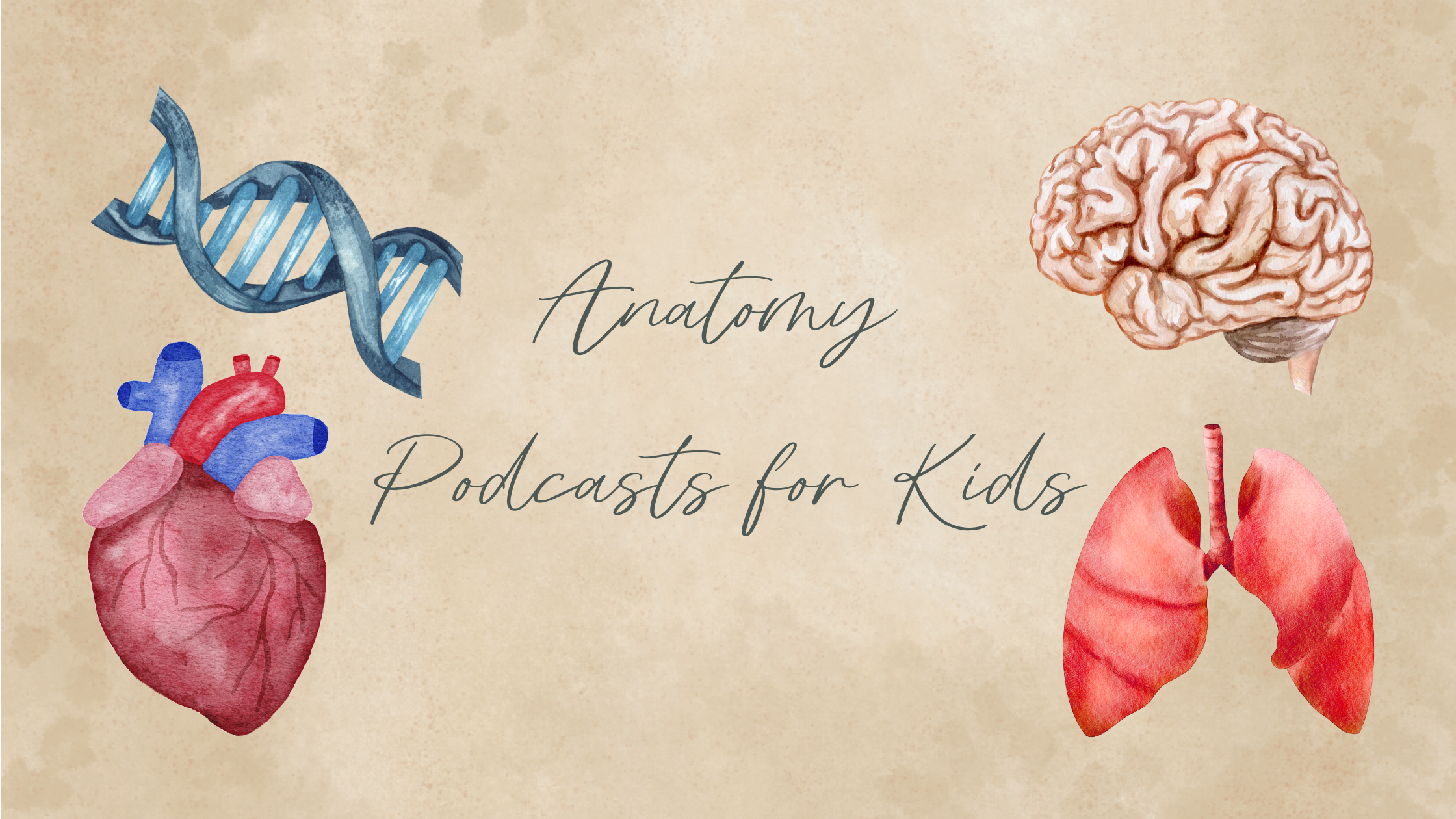 anatomy podcasts for kids