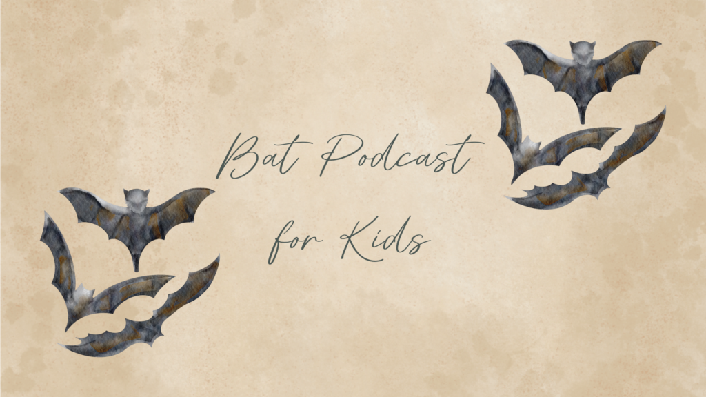 bat podcast for kids