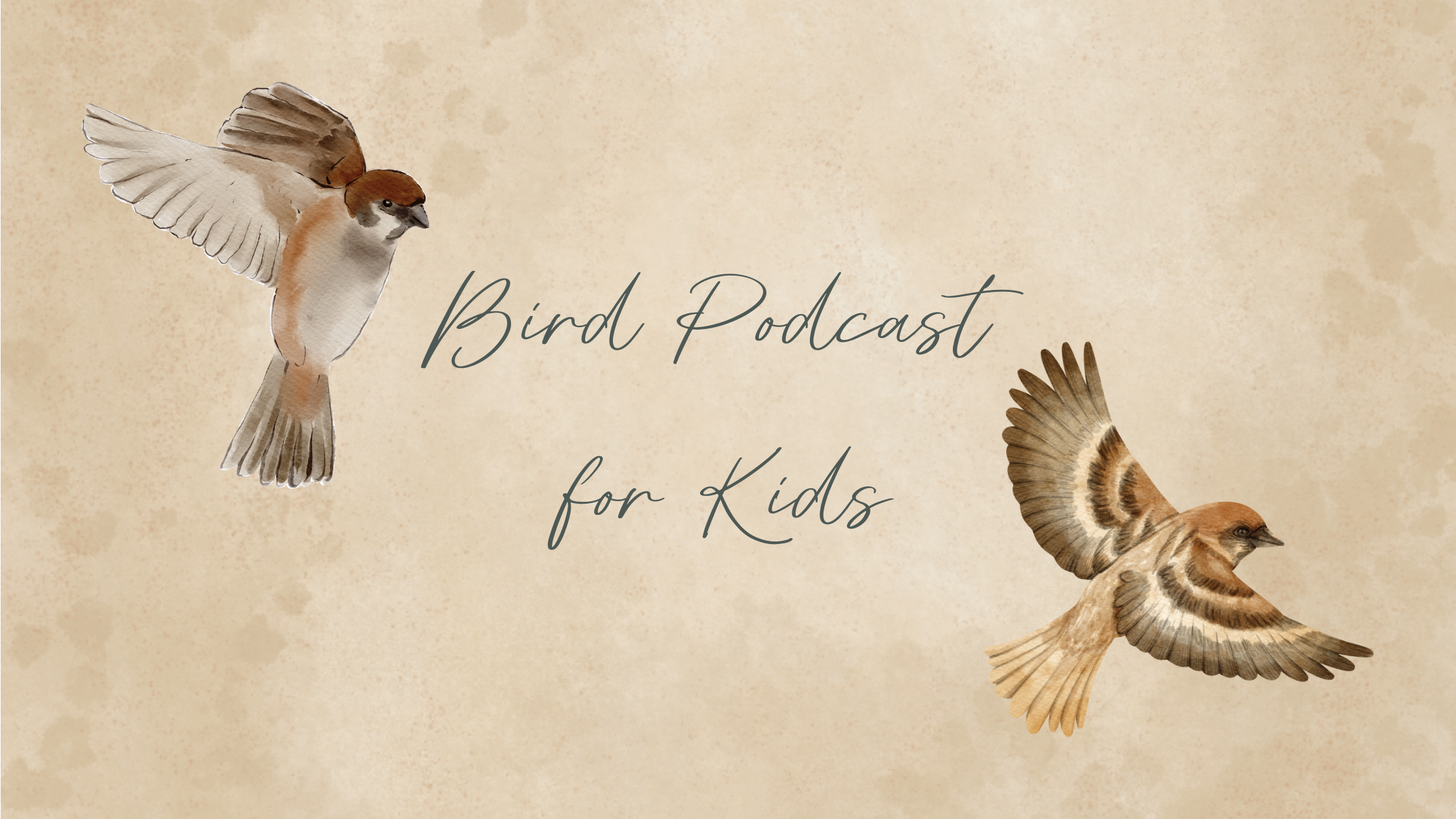 Bird Podcast for Kids