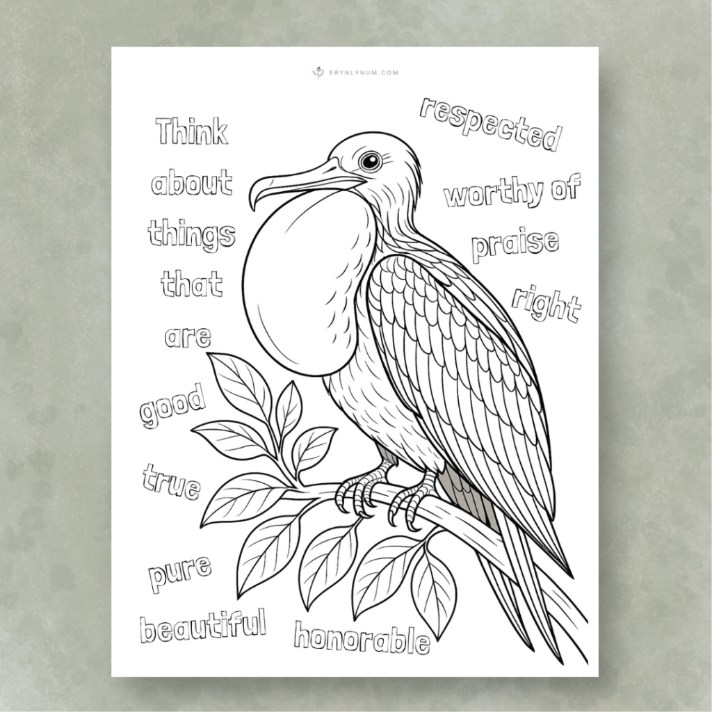 Bird Sleep Facts for Kids