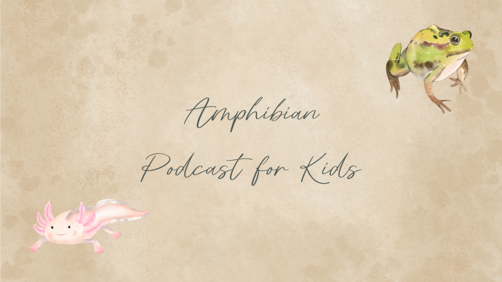 This image has an empty alt attribute; its file name is Reptiles-and-Amphibians-2-1024x576.png