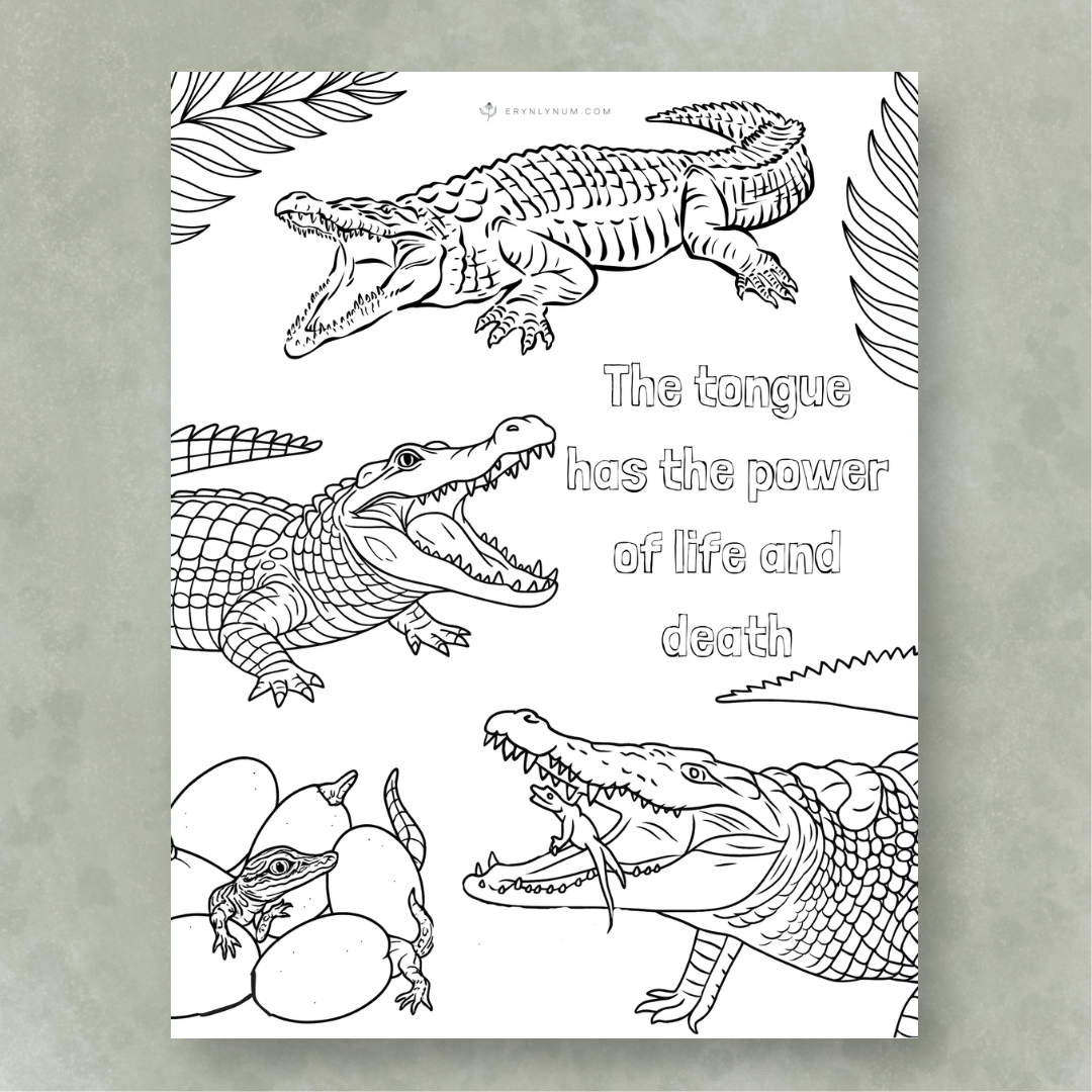 Alligators vs Crocodiles