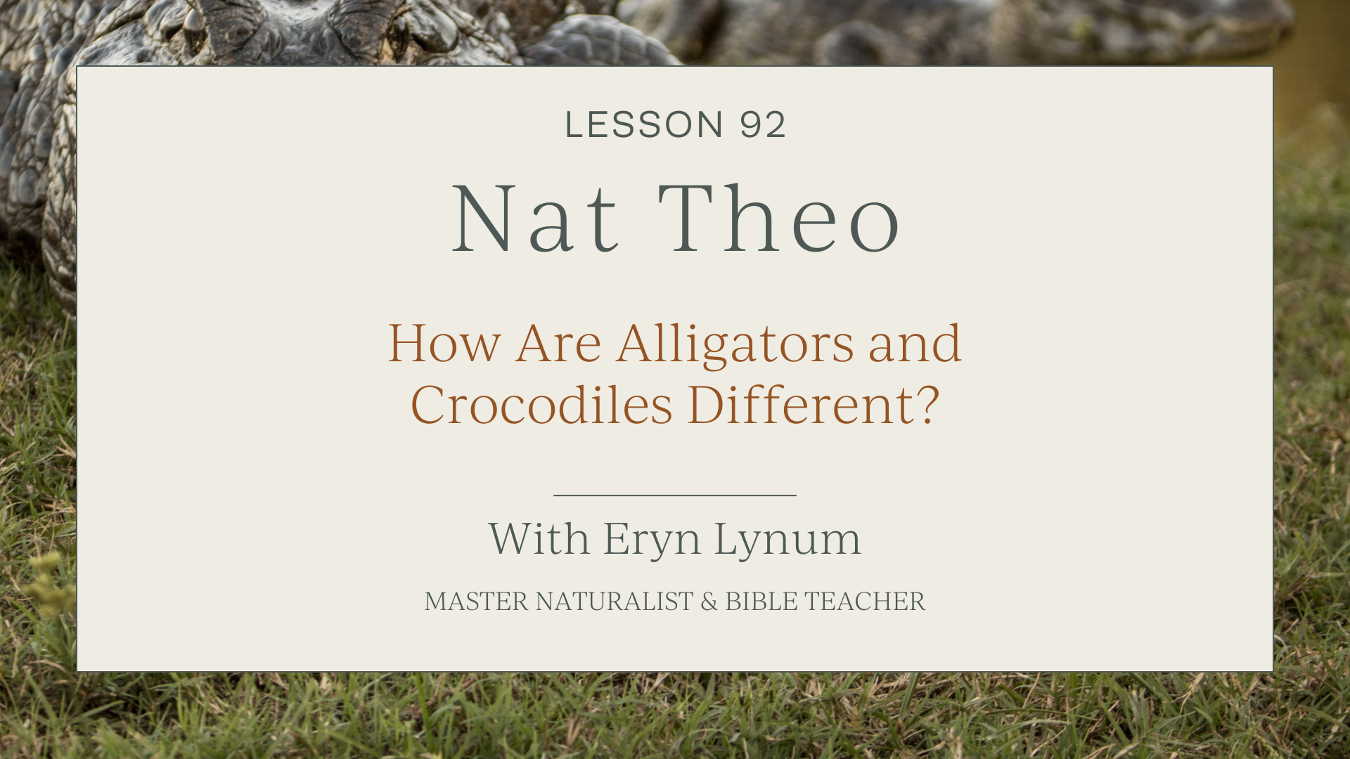 Alligators vs Crocodiles