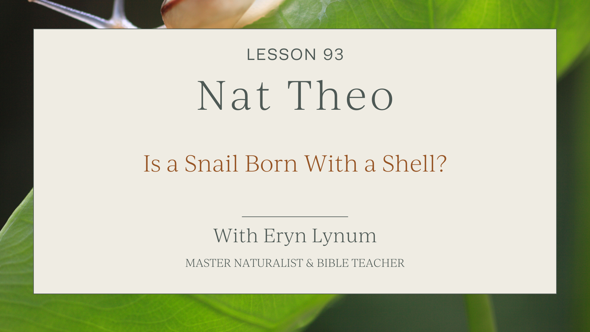 Are Snails Born With Shells