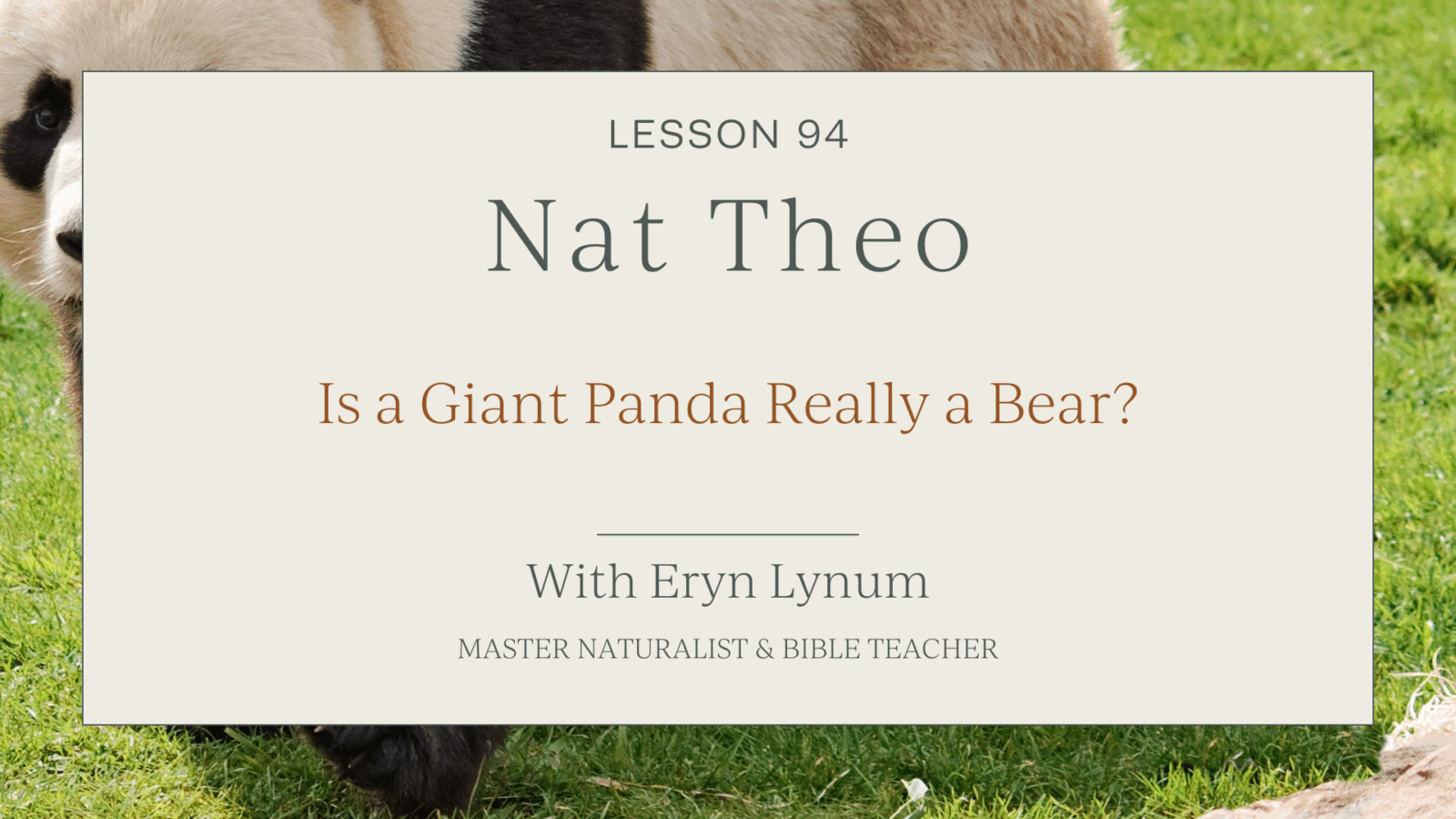 Are Pandas Really Bears?