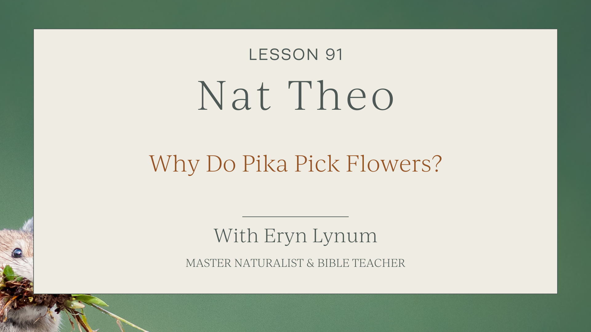 American Pika Facts for Kids