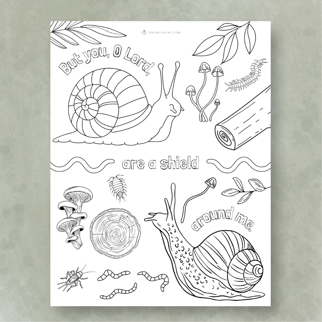 Are Snails Born With Shells?