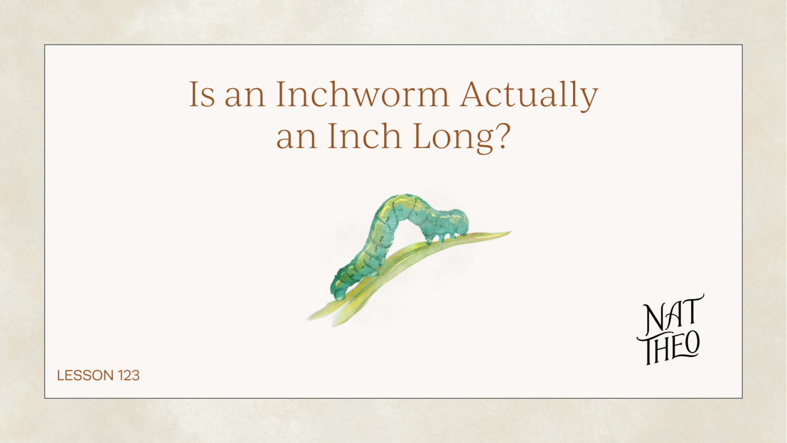 Is an Inchworm a Worm or a Caterpillar?
